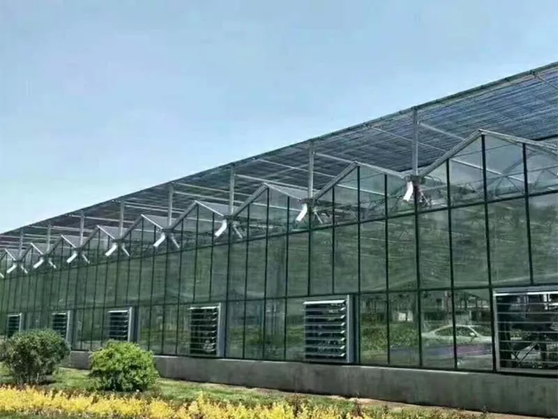 Unsay Naghimo sa Steel Vertical Farm nga Umaabot sa Malungtarong Agrikultura?