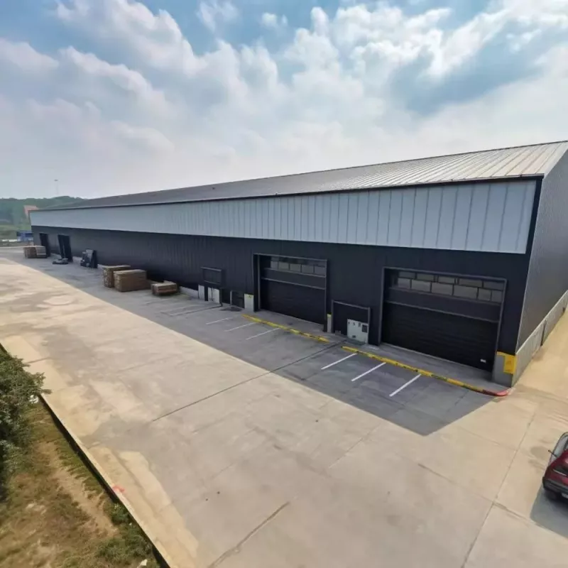 Dako nga Span Steel Structure Warehouse