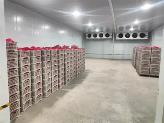 Steel Structure Agricultural Processing Plant Construction